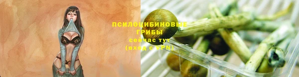 каннабис Богородицк